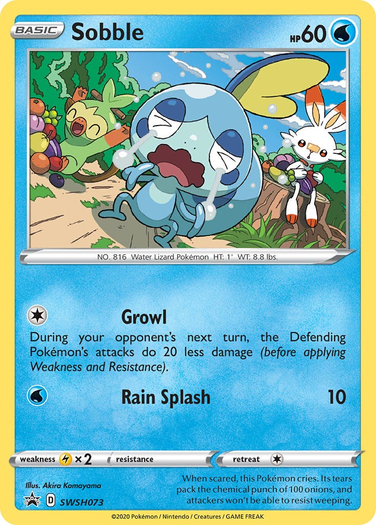2019 Pokémon SWSH Black Star Promos 2019 Pokémon SWSH Black Star Promos #SWSH073 trading card