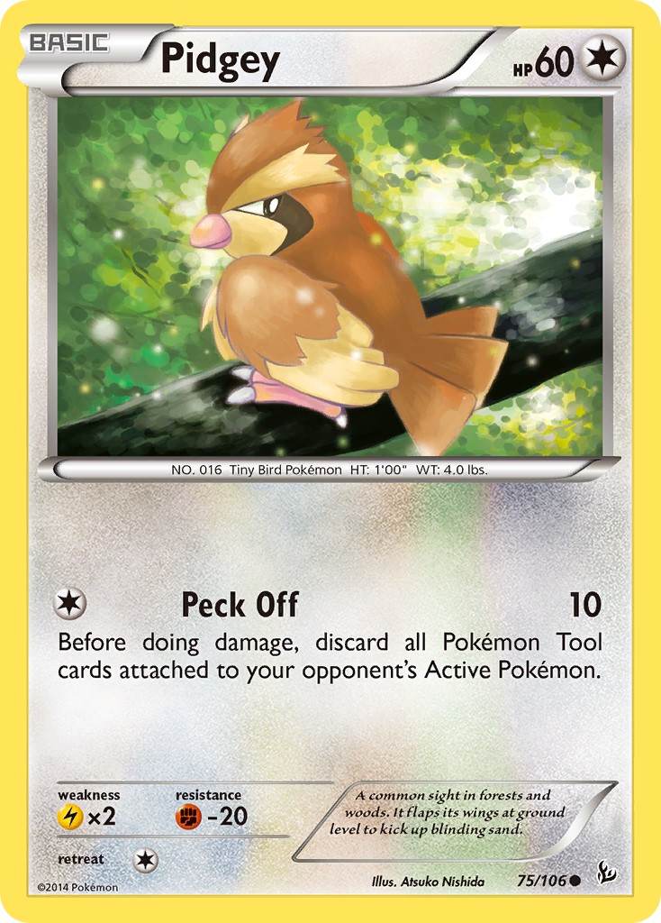 Pidgey - Image 1