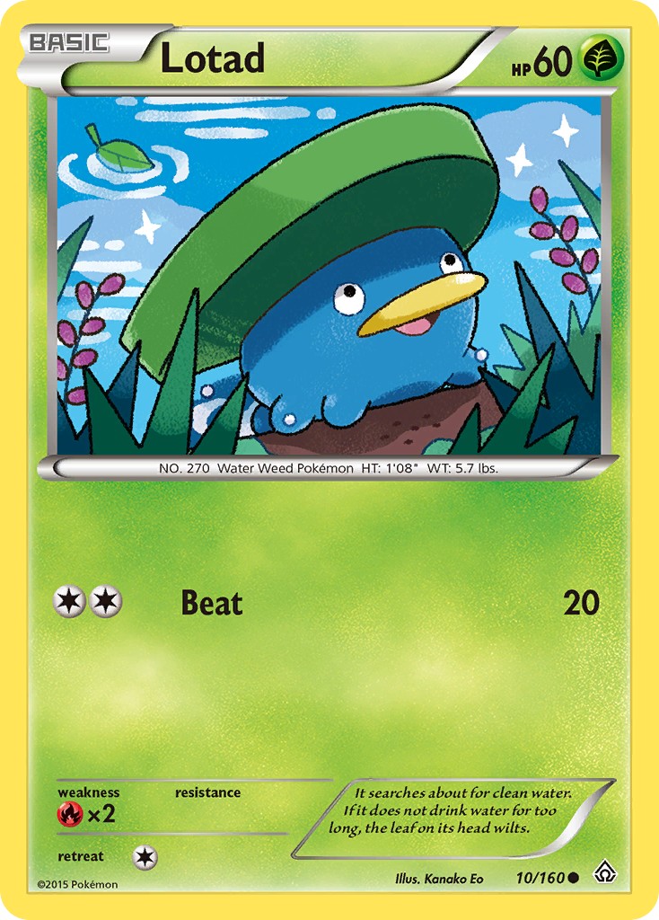 Lotad - Image 1