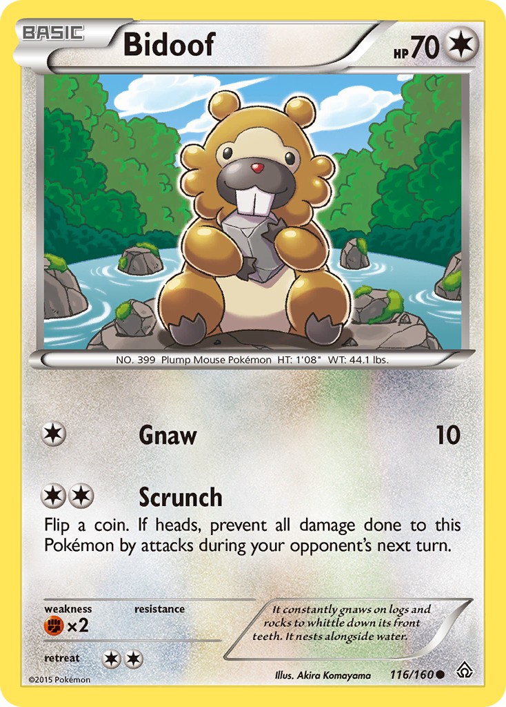 Bidoof - Image 1