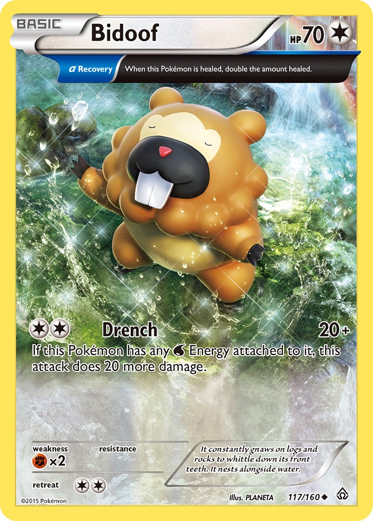 Bidoof - Image 1