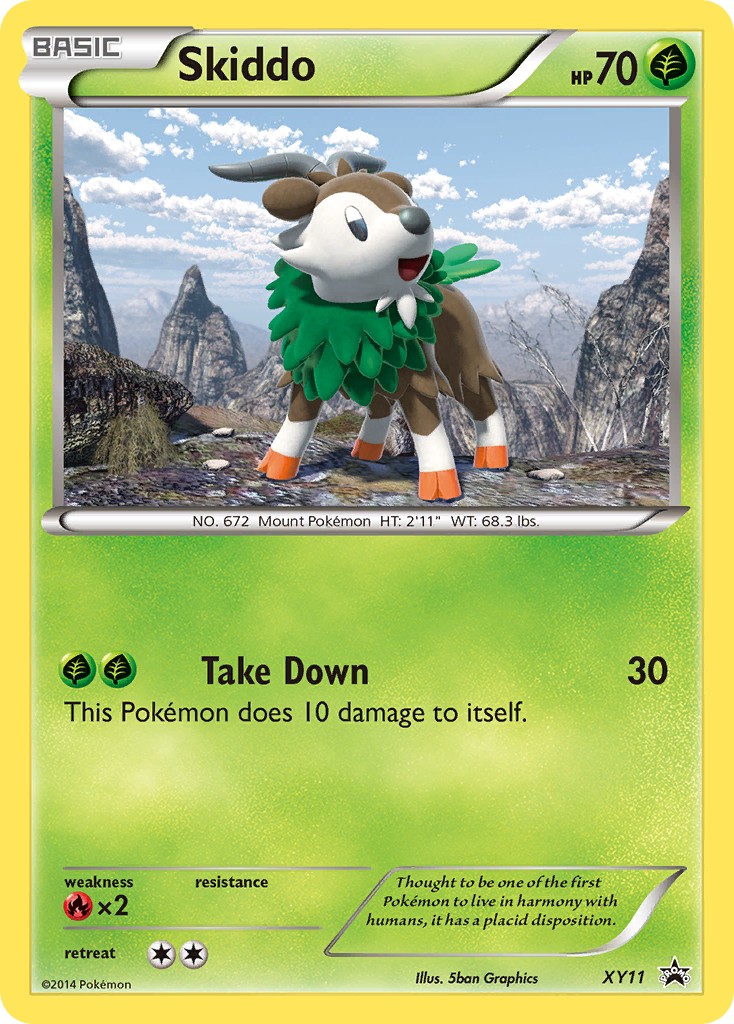 2013 Pokémon XY Black Star Promos 2013 Pokémon XY Black Star Promos #XY11 trading card