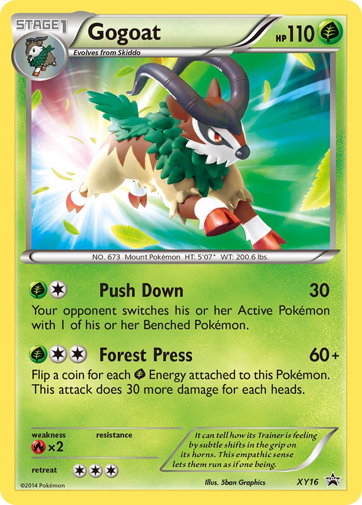 2013 Pokémon XY Black Star Promos 2013 Pokémon XY Black Star Promos #XY16 trading card