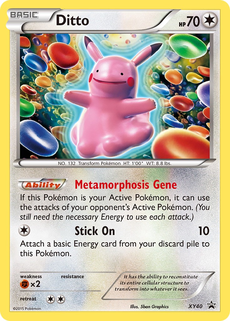 Ditto (Promo · Holo) · 2013 · XY Black Star Promos