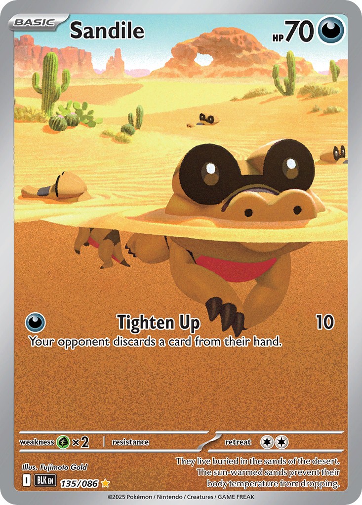 Sandile - Image 1