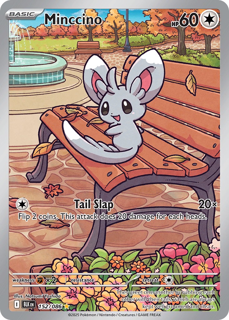 Minccino - Image 1