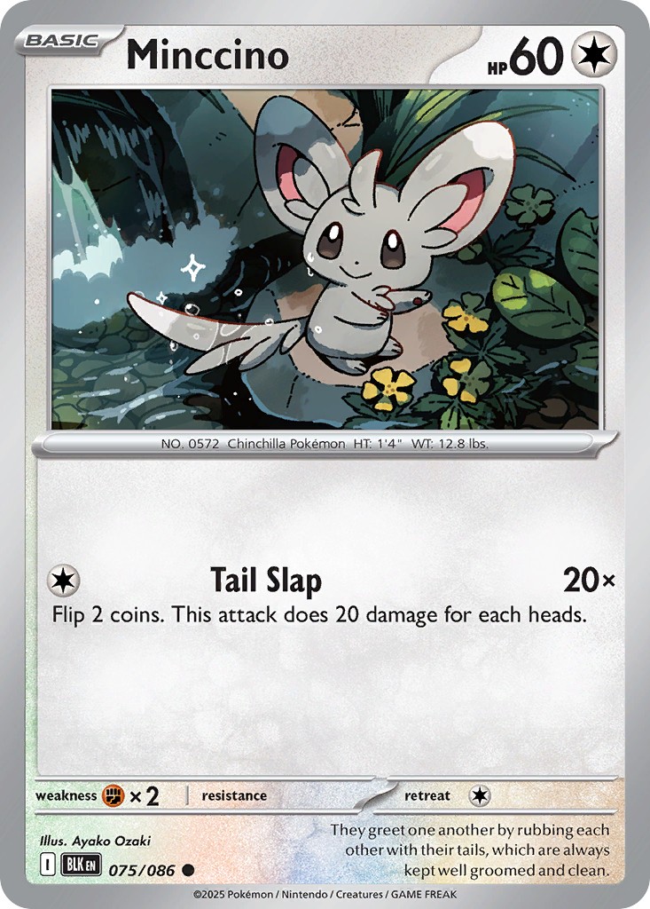 Minccino - Image 1