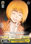 "Hope in the Darkness of Despair" Armin - Image 1
