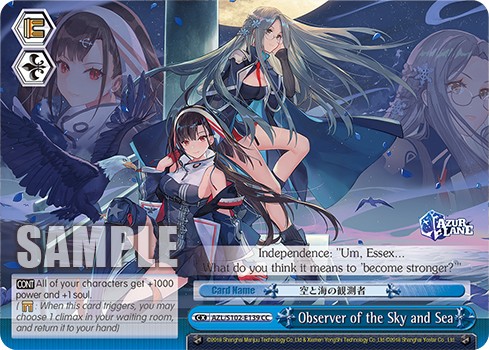 Observer of the Sky and Sea - Image 1