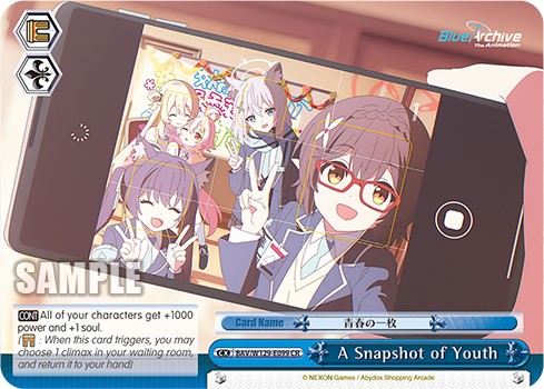 A Snapshot of Youth - Image 1