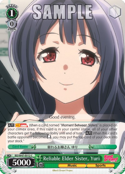 Reliable Elder Sister, Yuri - Image 1