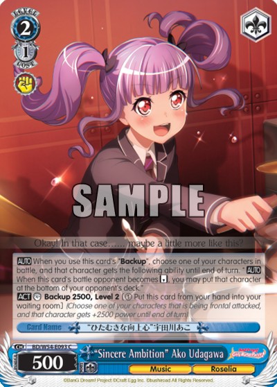 "Sincere Ambition" Ako Udagawa - Image 1