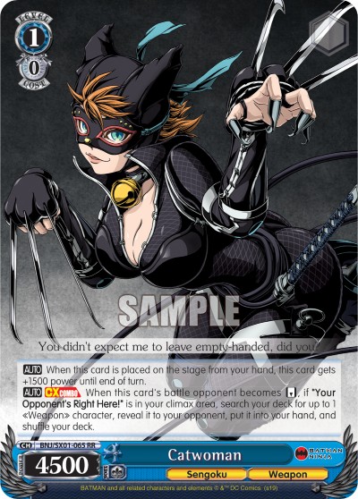 Catwoman - Image 1