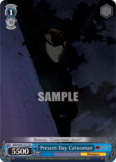 Present Day Catwoman - Image 1