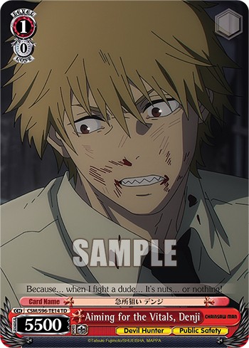 Aiming for the Vitals, Denji - Image 1