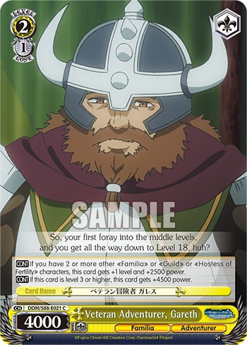 Veteran Adventurer, Gareth - Image 1