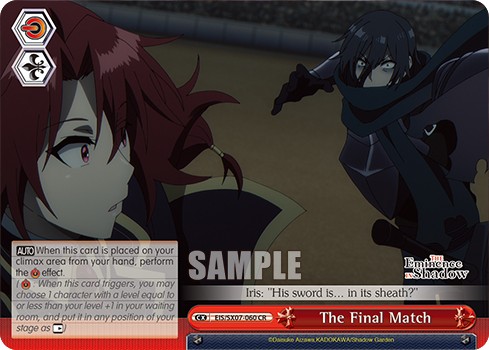 The Final Match - Image 1