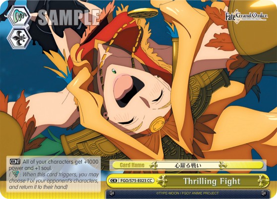 Thrilling Fight - Image 1