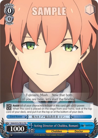 Acting Director of Chaldea, Romani - Image 1