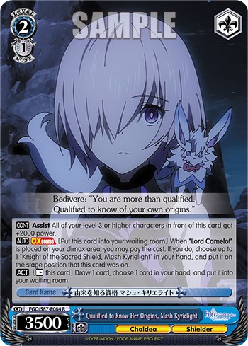 Qualified to Know Her Origins, Mash Kyrielight - Image 1
