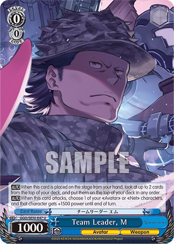 Team Leader, M - Image 1