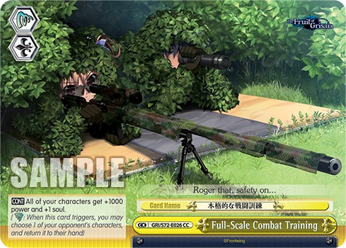 Full-Scale Combat Training - Image 1