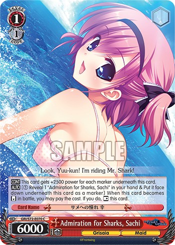 Admiration for Sharks, Sachi - Image 1