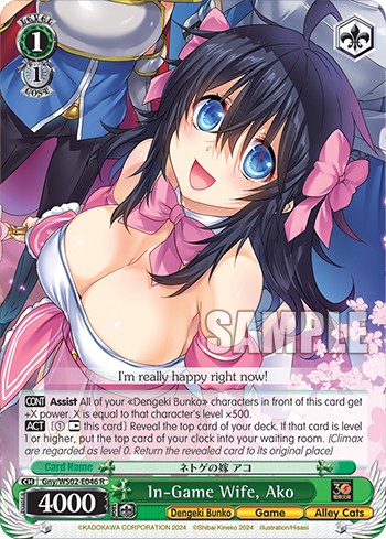 In-Game Wife, Ako - Image 1