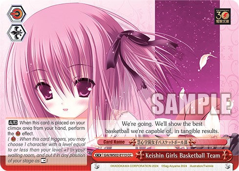 Keishin Girls Basketball Team - Image 1