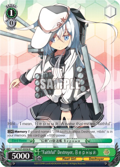"Faithful" Destroyer, Верный - Image 1