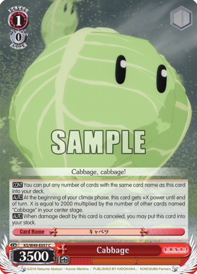 Cabbage - Image 1