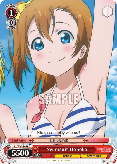 Swimsuit Honoka - Image 1