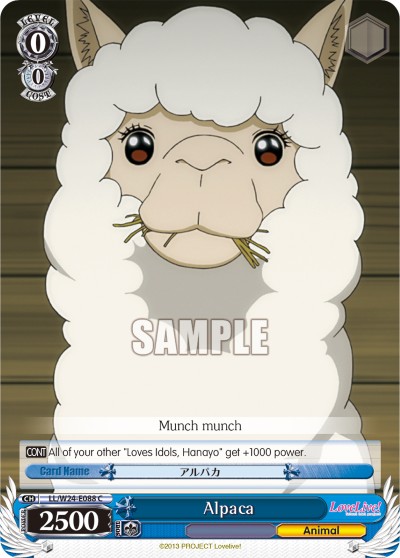 Alpaca - Image 1