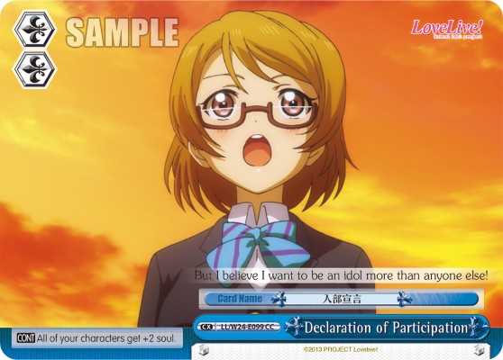 Declaration of Participation - Image 1
