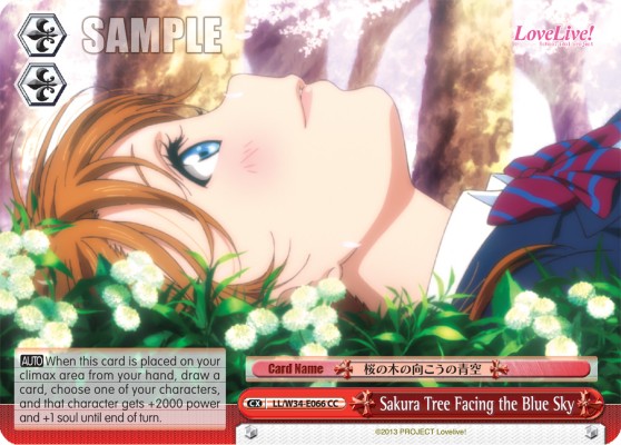 Sakura Tree Facing the Blue Sky - Image 1