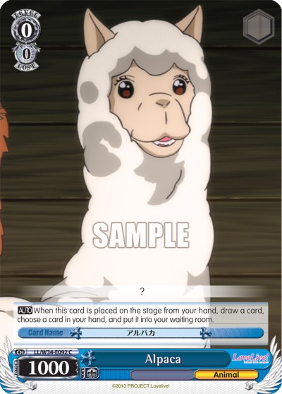 Alpaca - Image 1