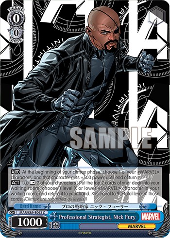 Professional Strategist, Nick Fury - Image 1