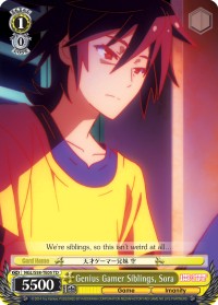 Genius Gamer Siblings, Sora - Image 1