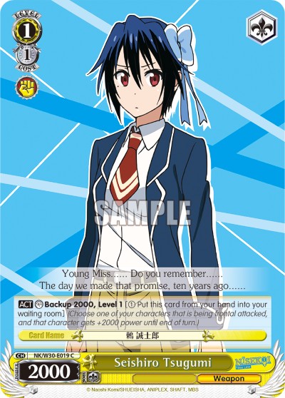 Seishiro Tsugumi - Image 1