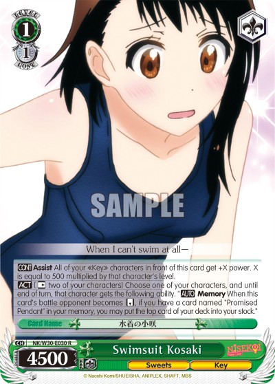 Swimsuit Kosaki - Image 1