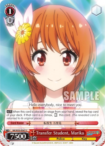 Transfer Student, Marika - Image 1