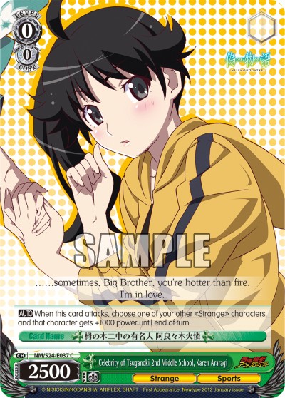 Celebrity of Tsuganoki 2nd Middle School, Karen Araragi - Image 1