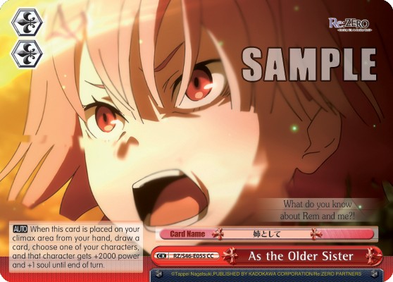 As the Older Sister - Image 1