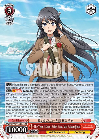 The Year I Spent With You, Mai Sakurajima - Image 1