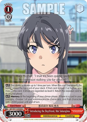 Introducing the Boyfriend, Mai Sakurajima - Image 1