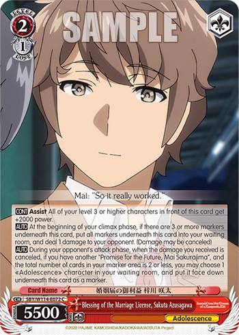 Blessing of the Marriage License, Sakuta Azusagawa - Image 1