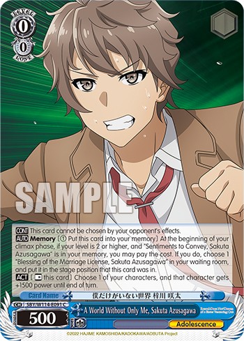 A World Without Only Me, Sakuta Azusagawa - Image 1