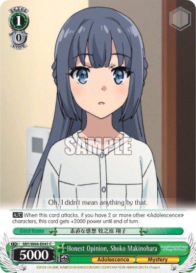 Honest Opinion, Shoko Makinohara - Image 1