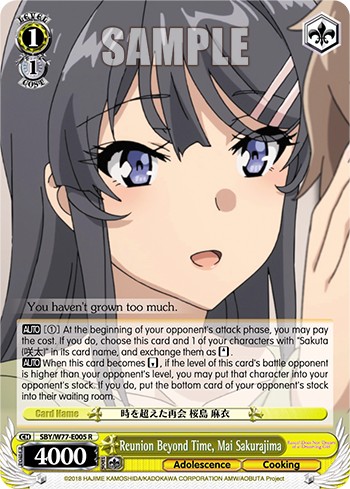 Reunion Beyond Time, Mai Sakurajima - Image 1