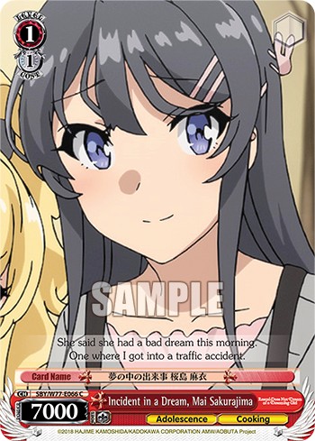 Incident in a Dream, Mai Sakurajima - Image 1
